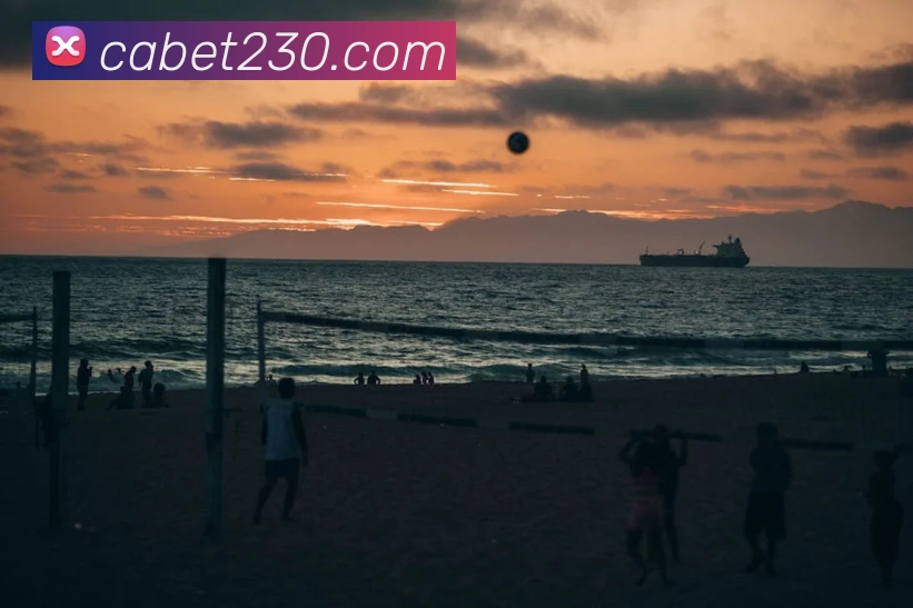 平台展示图